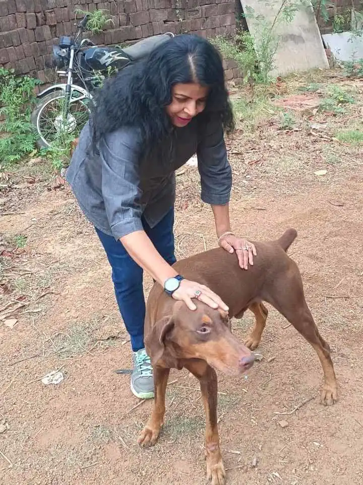 Animal welfare moment 1